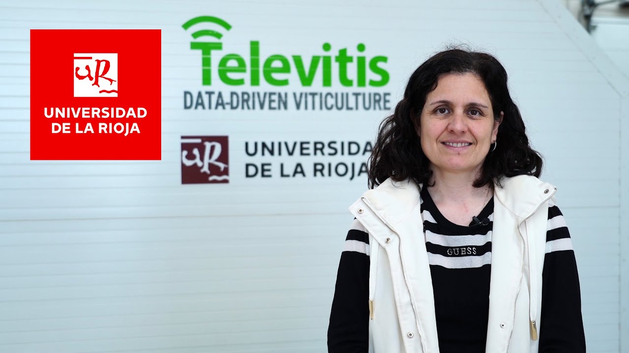 Tecnológicas no invasivas para monitorizar la composición de la uva en tiempo real