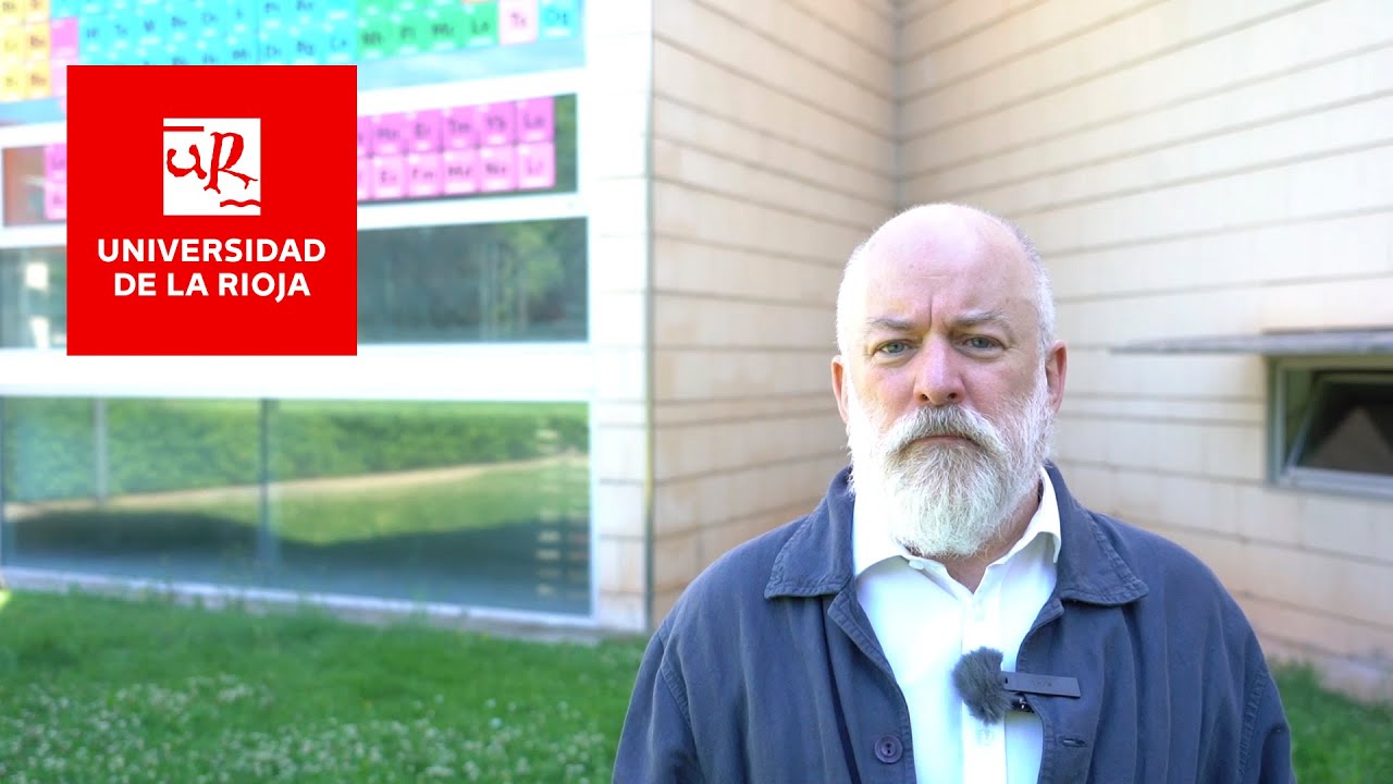 Males del sistema científico y su impacto en los estudios de doctorado, Joaquín Sevilla Moróder