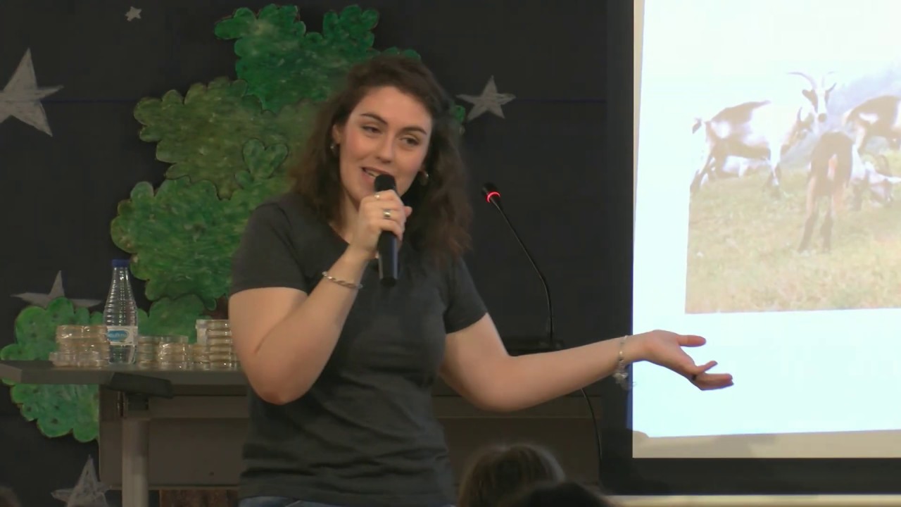 Charla del Día de la Mujer y la Niña en la Ciencia 2019 en el Colegio 7 Infantes de Logroño