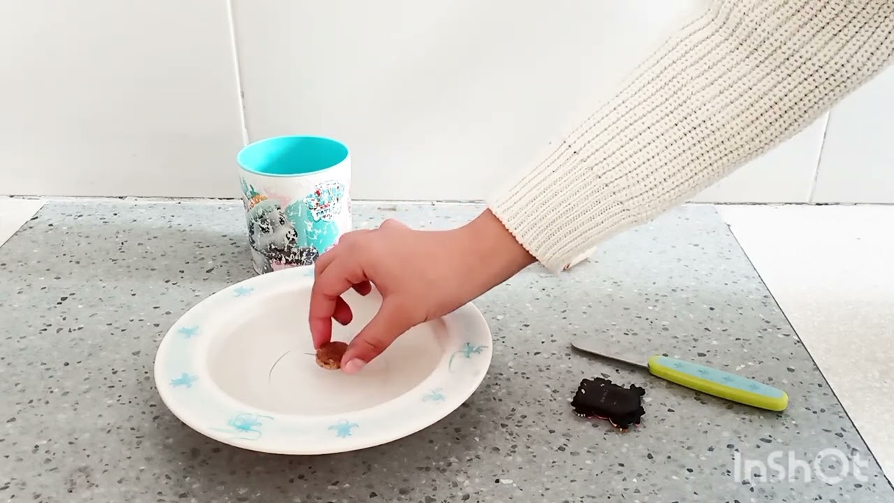 LA BRÚJULA CASERA