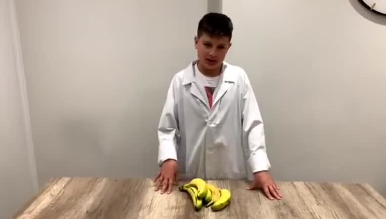 El misterio de los plátanos y sus manchas