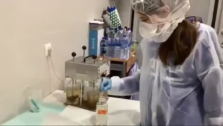 ¡Desafío hídrico! Experimento de depuración