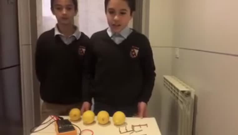 Pila limonera